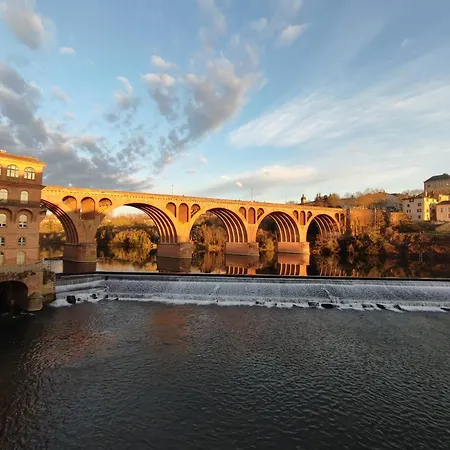 O Petit Cocon Daire Albi